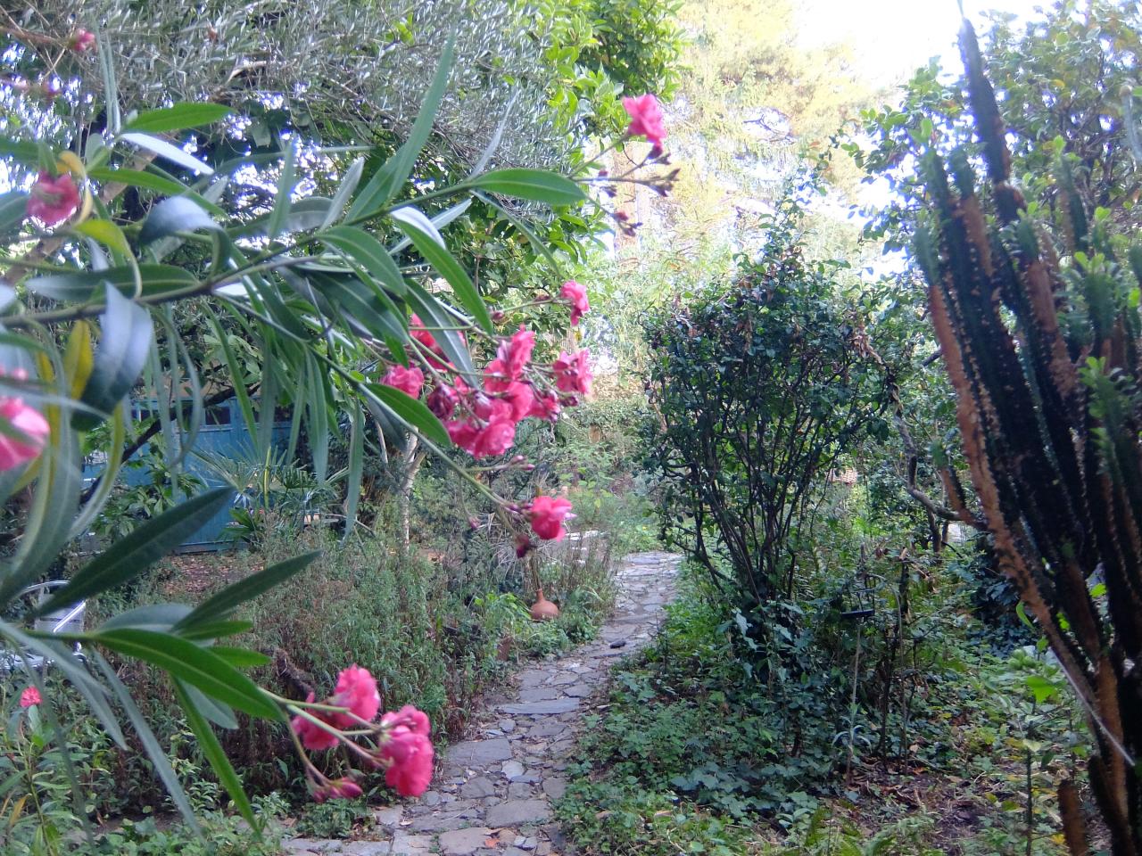 jardin.echappe.du.mensonge.deconcertant.2020