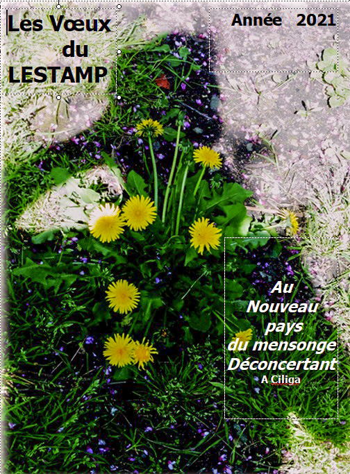 voeux.lestamp.2021.resister.a.la.caserne.mortiifere